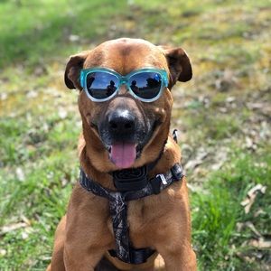 Meet your Posher, Ashashlie